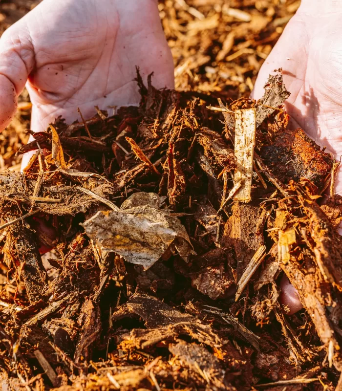 A zoomed image of a hand mixing a mulch in the ground